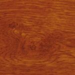 Golden Oak